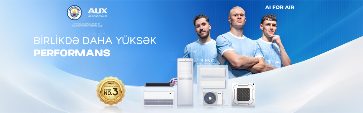mitsubishi electric